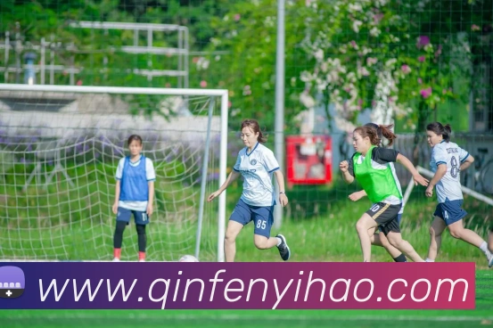 壹号娱乐APP 封面图